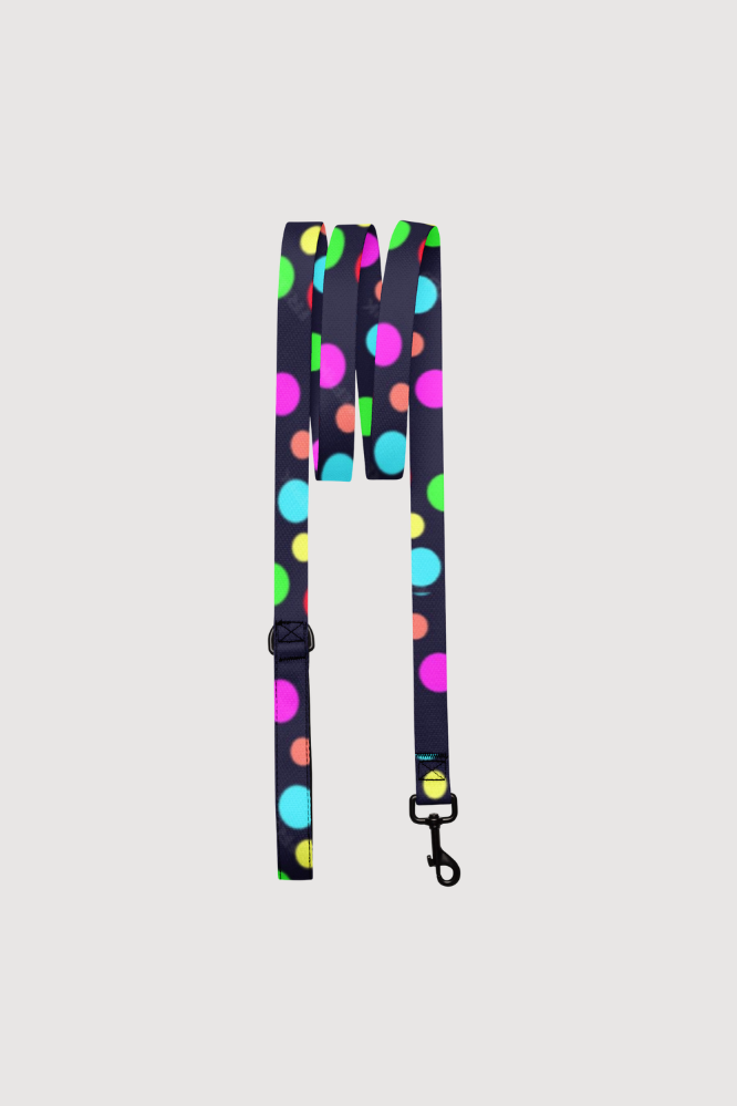 Pet Leash
